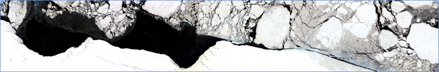 antarctic