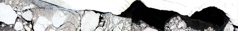 antarctic